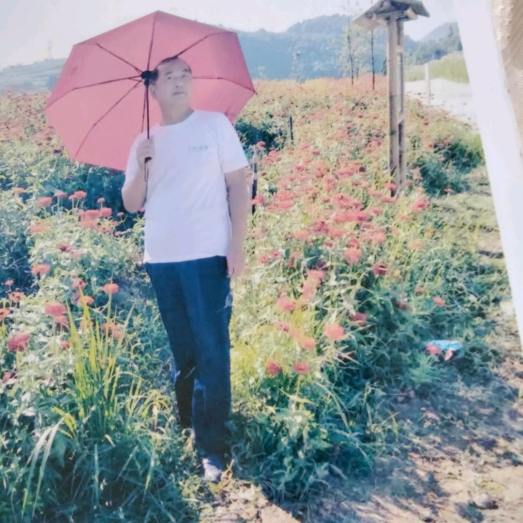 救病扶危。