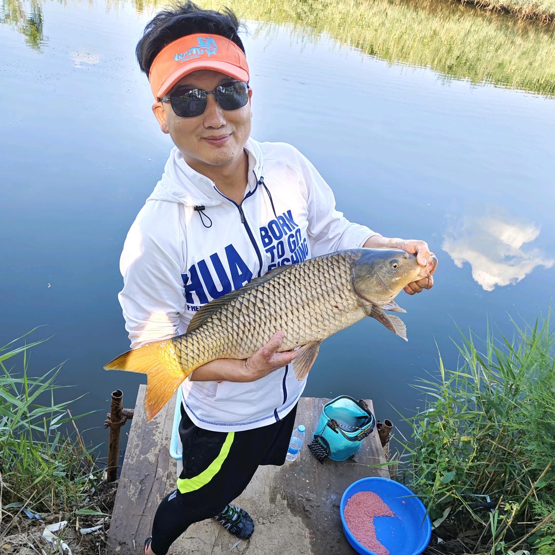 ༆夜太狼🎣🎣