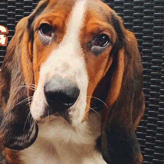 超级无敌牛逼手子