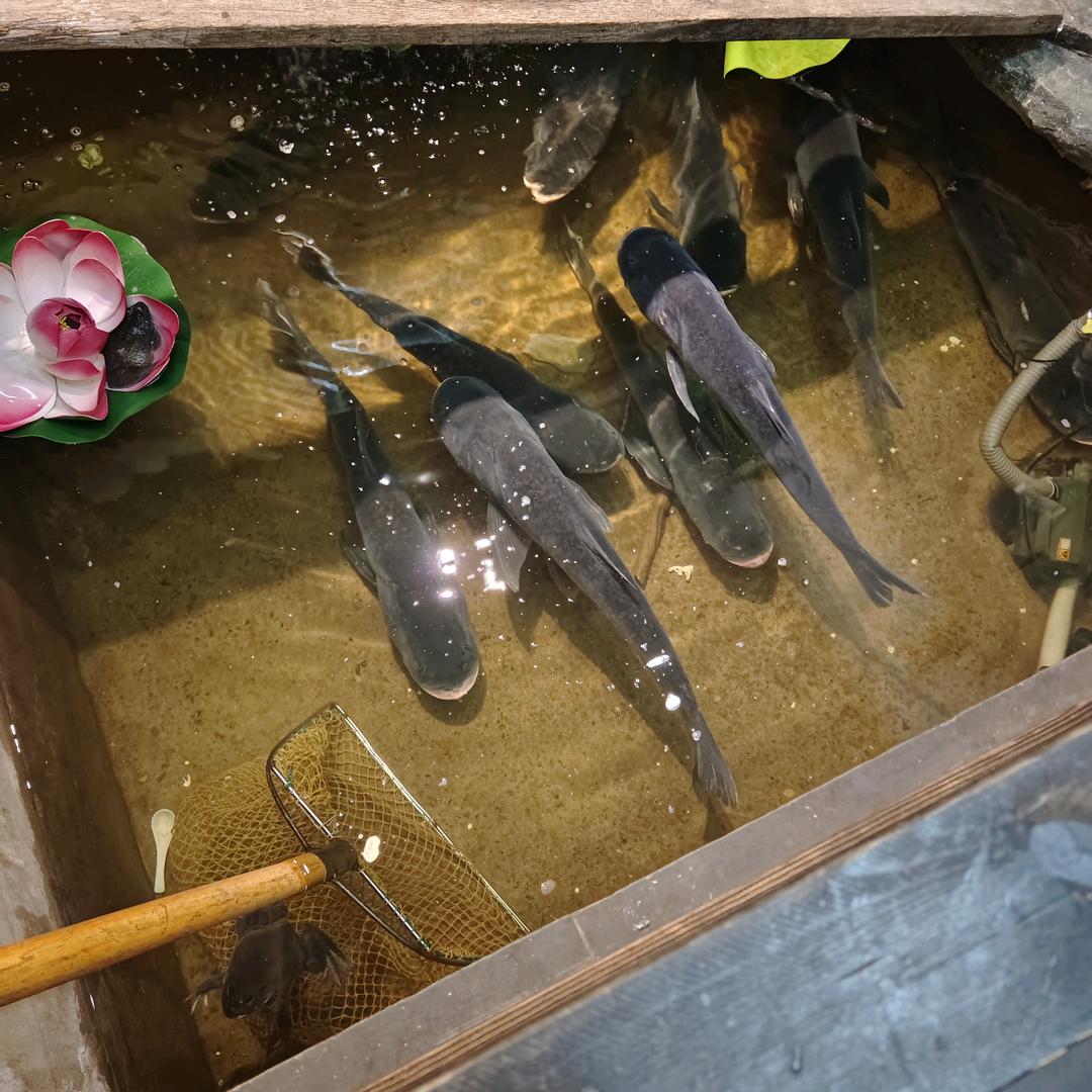 条条大路通罗马