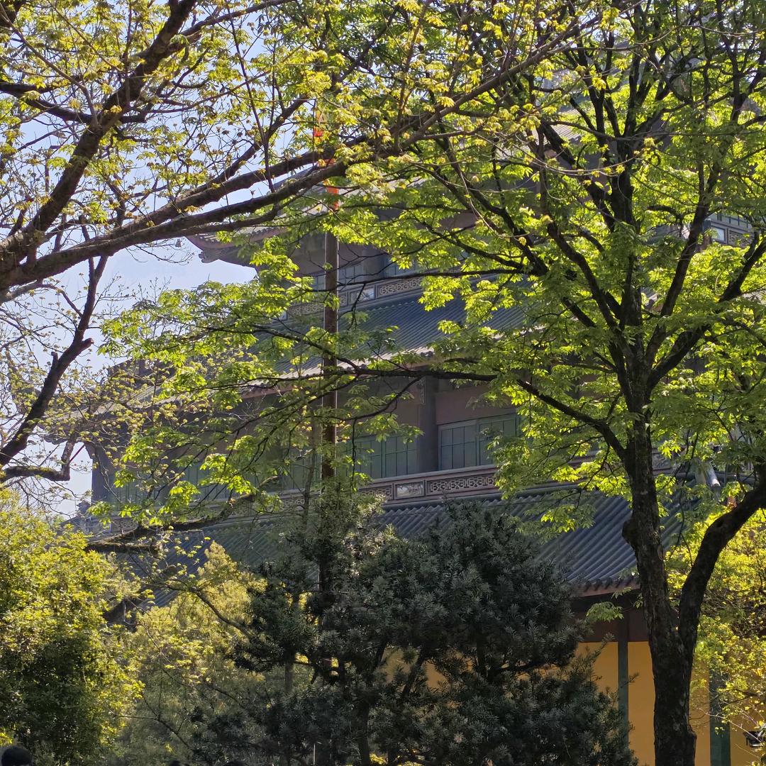 我们都是一个加