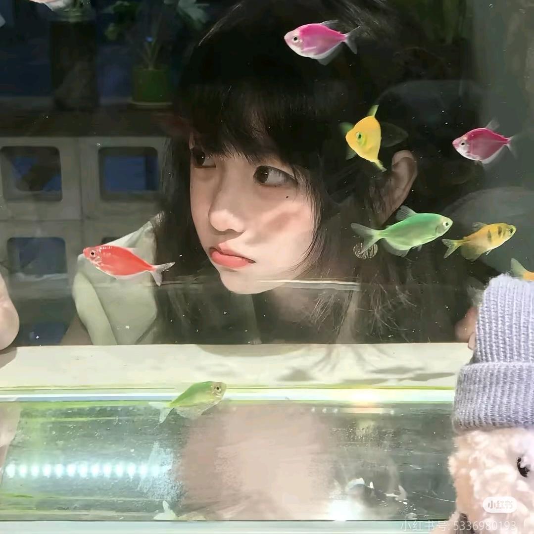 芝麻汤圆🌷