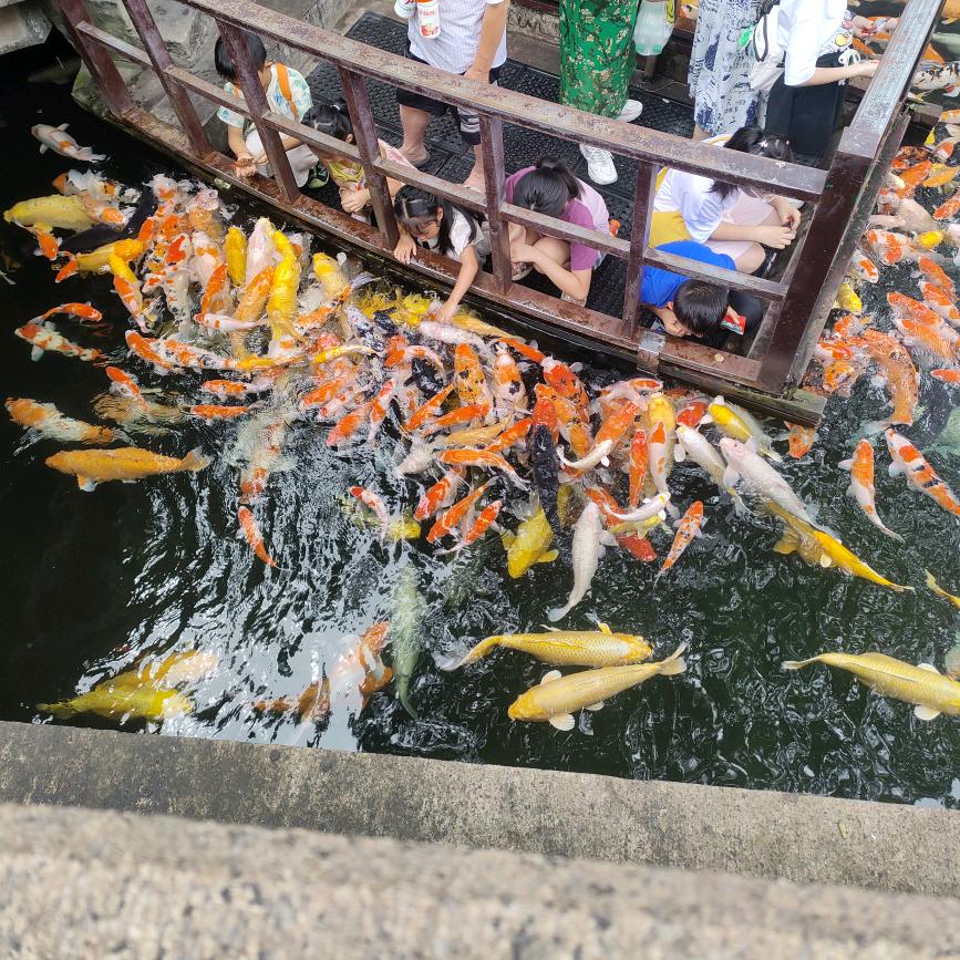 陈婷婷~众志手机店