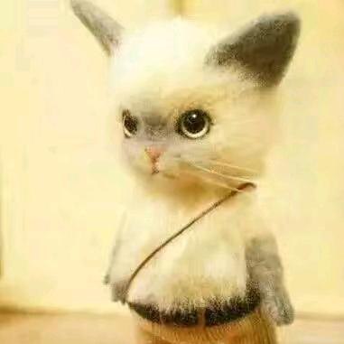 微笑“”纯属礼貌