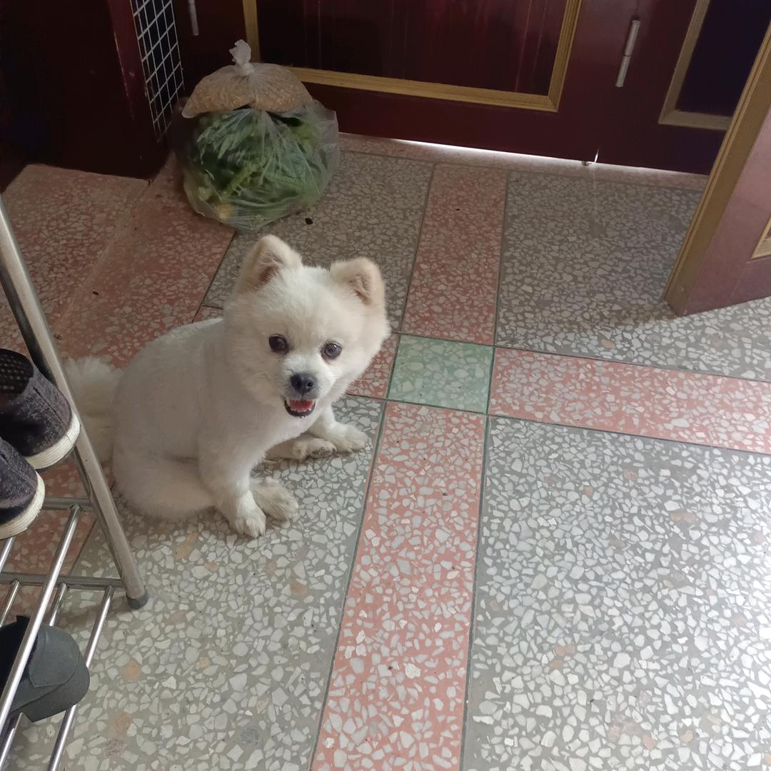 黄光辉