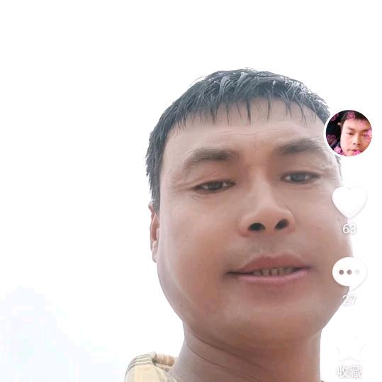 自由的飞翔