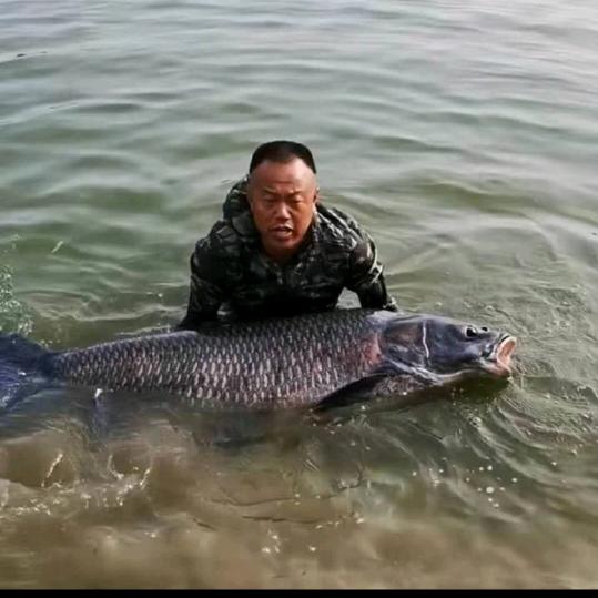 巨青江湖百加巨青垂钓基地