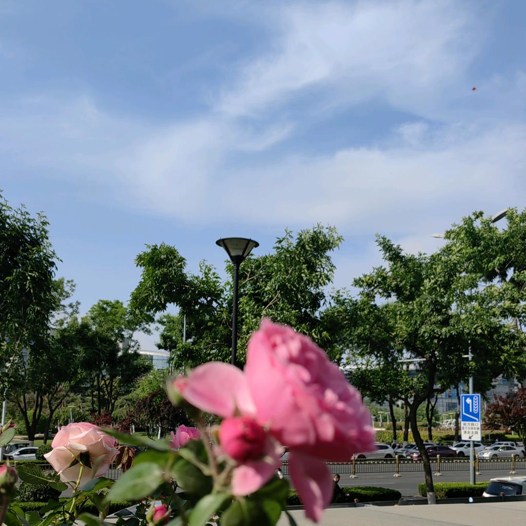 生命的光