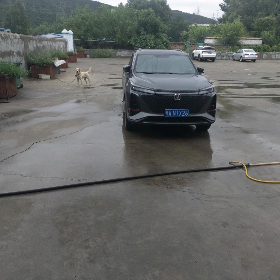 生容易活容易生活不容易