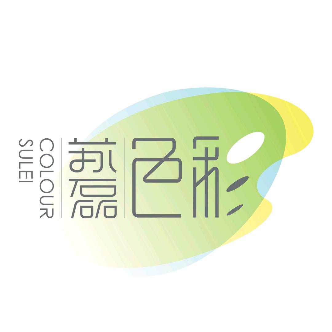 苏磊色彩