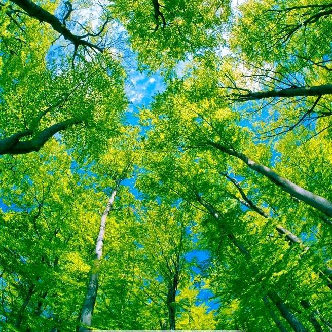 🌈花好月圆🦆