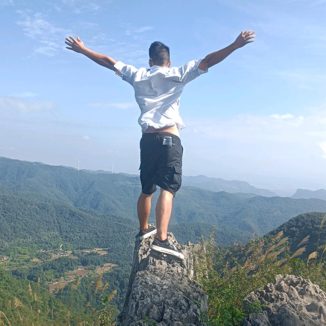 飞