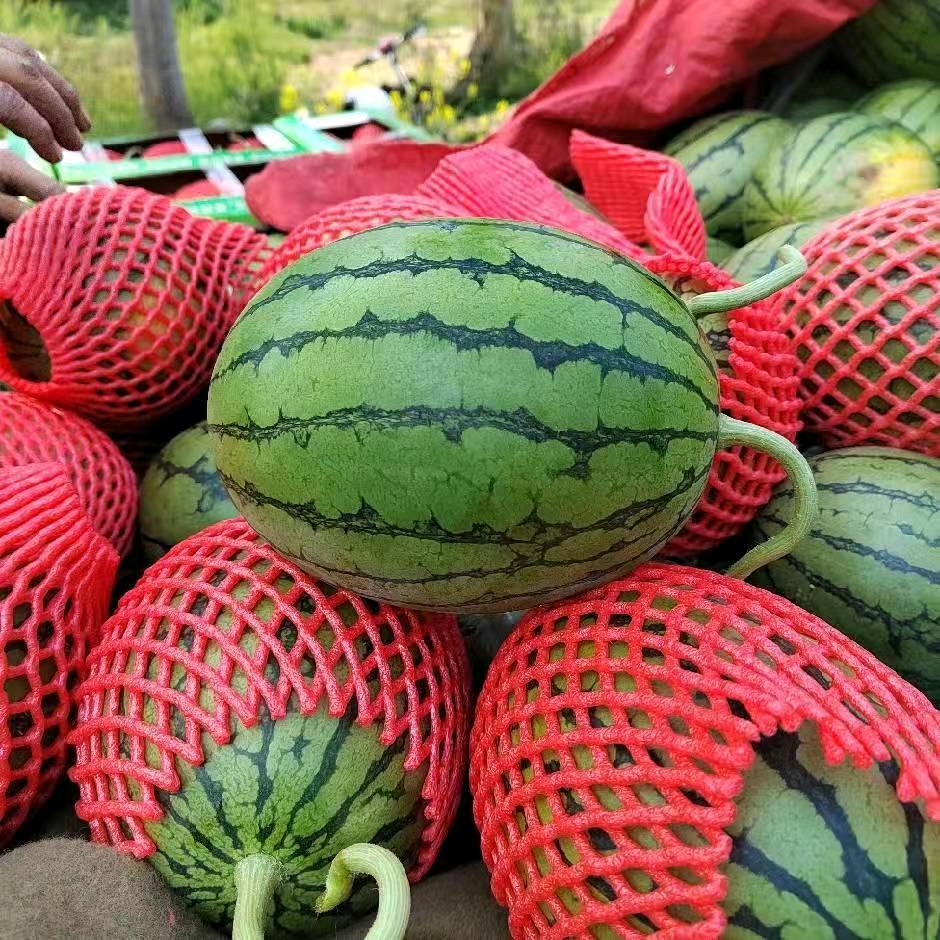 胜丰精品果蔬代办，诚信为本共赢共利！