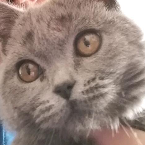 Aaaaaaaaaaaaaaaaaa.高