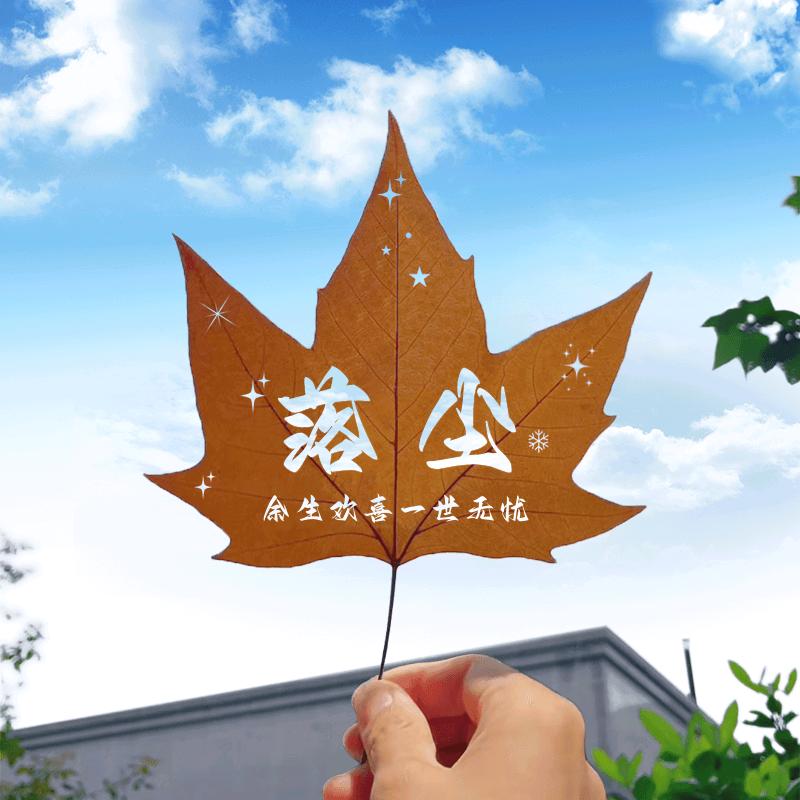 落 尘