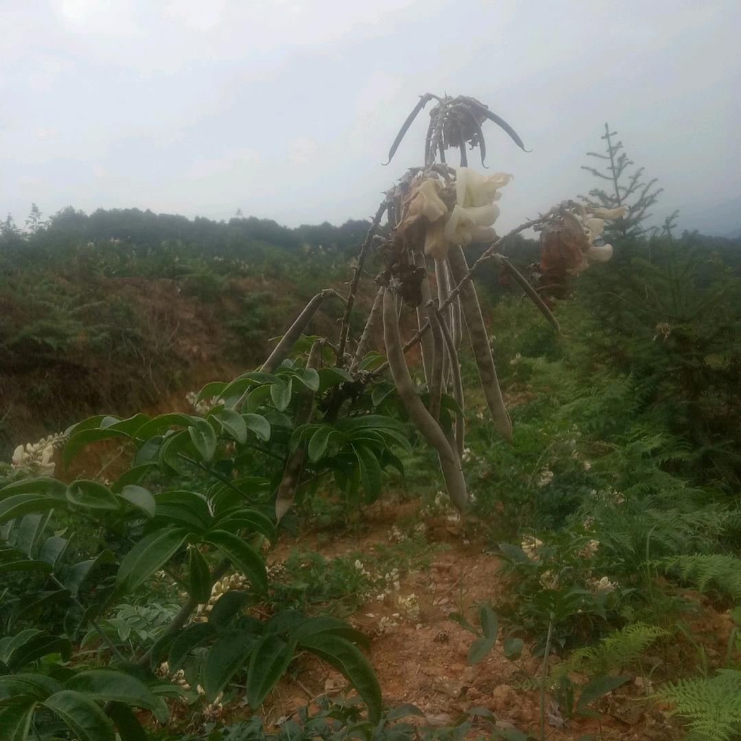 一生有你相伴
