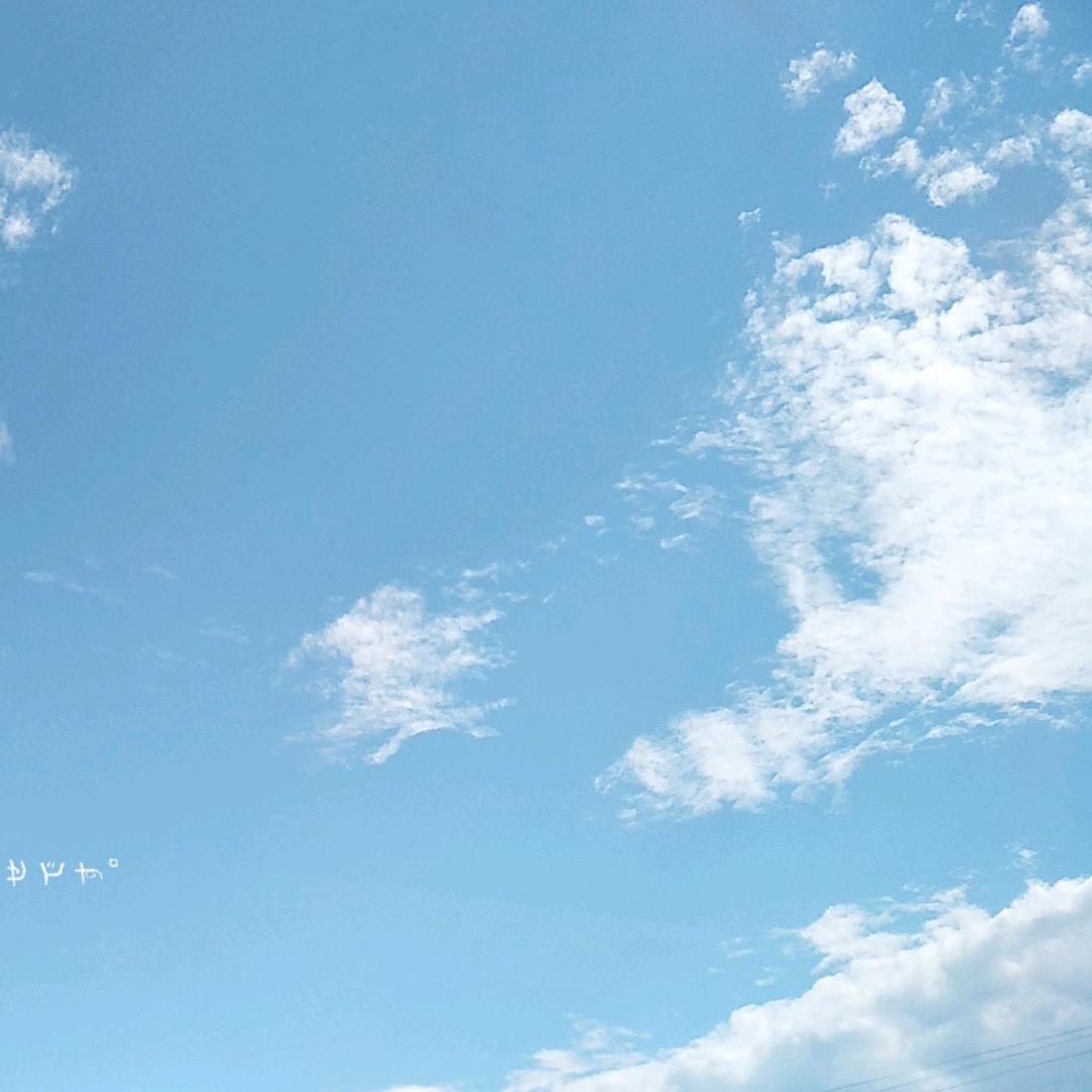 杉杉