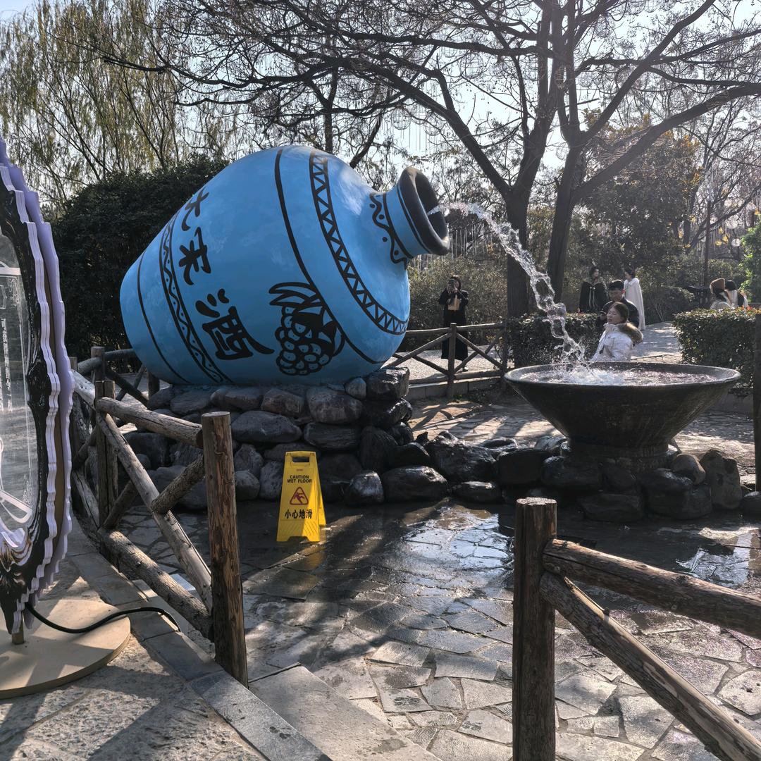 向阳花开
