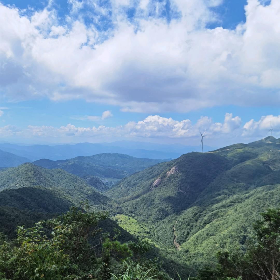 风带走故事也带走你