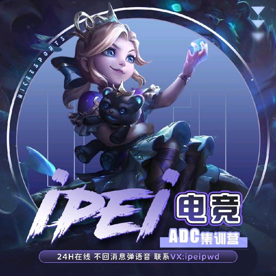 陪子哥房卡测评