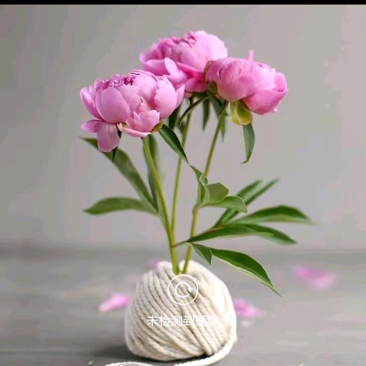 ✮࿆:*