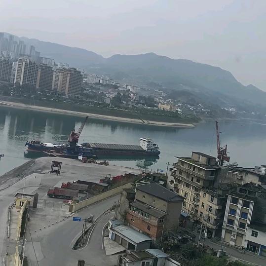 海中之龙（神办仙）