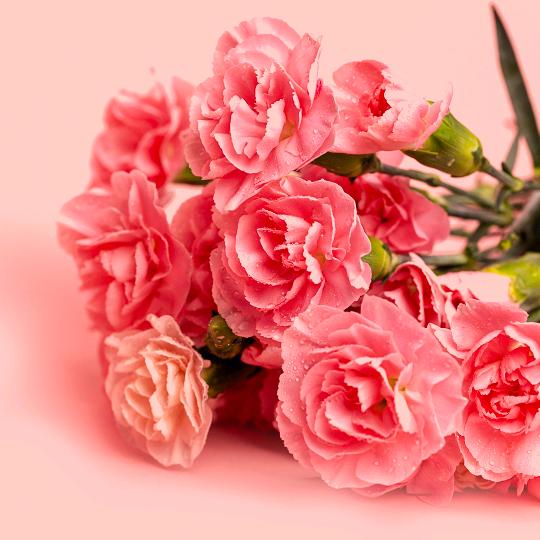 急急急[新人涨粉]]