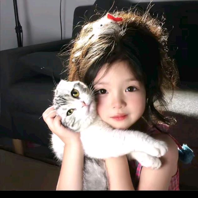 小月游戏解说