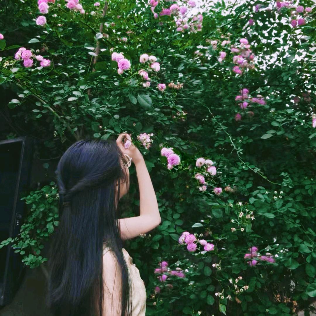阿芋与鱼