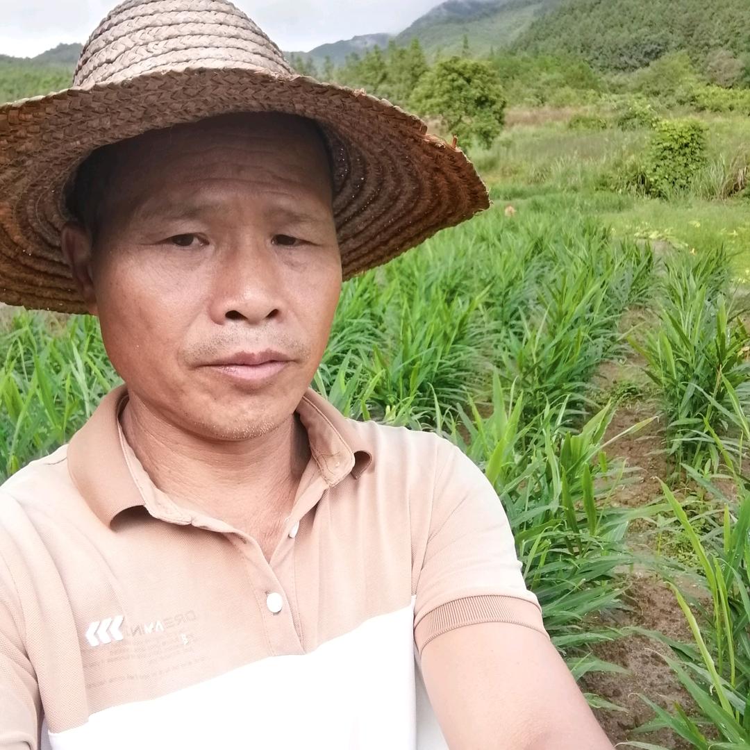 快乐老农夫专做绿色种养殖