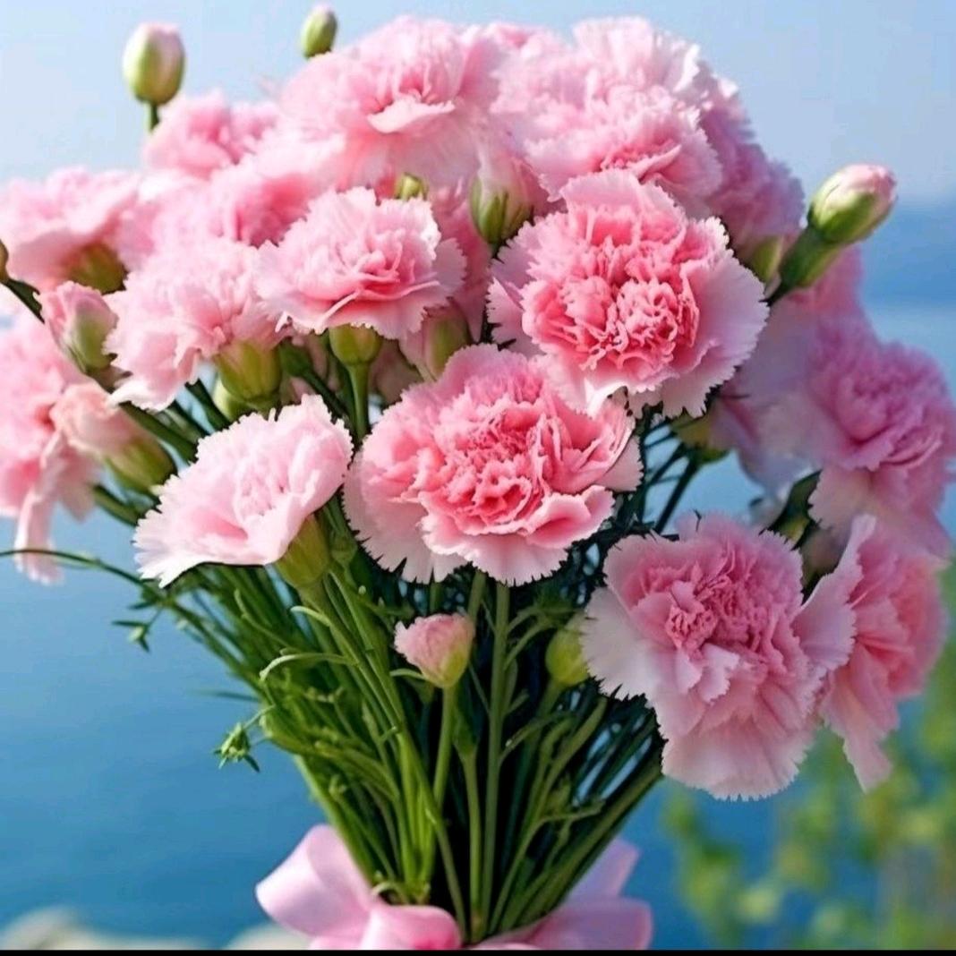 特级育儿嫂@橱窗有好物推荐