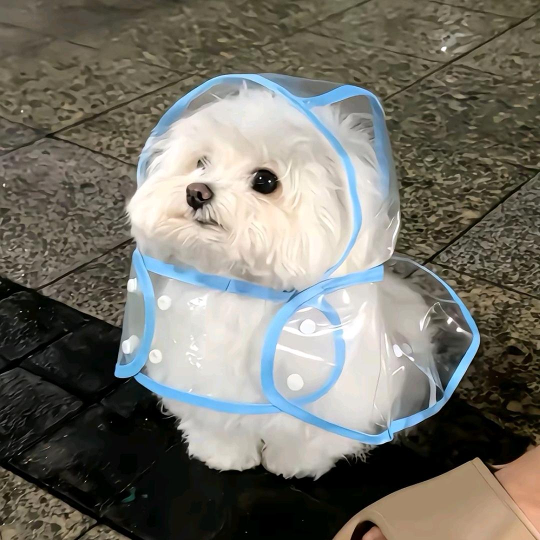 钮祜璐