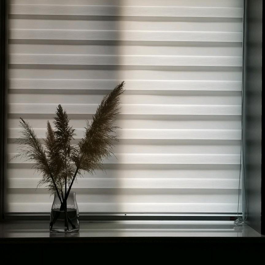姜柠茶🍵