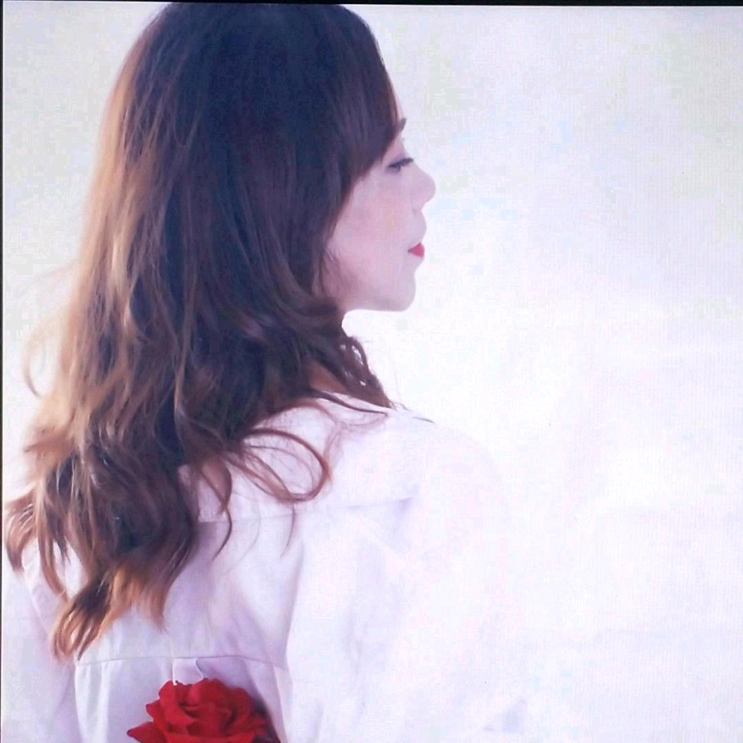 葵花朵朵