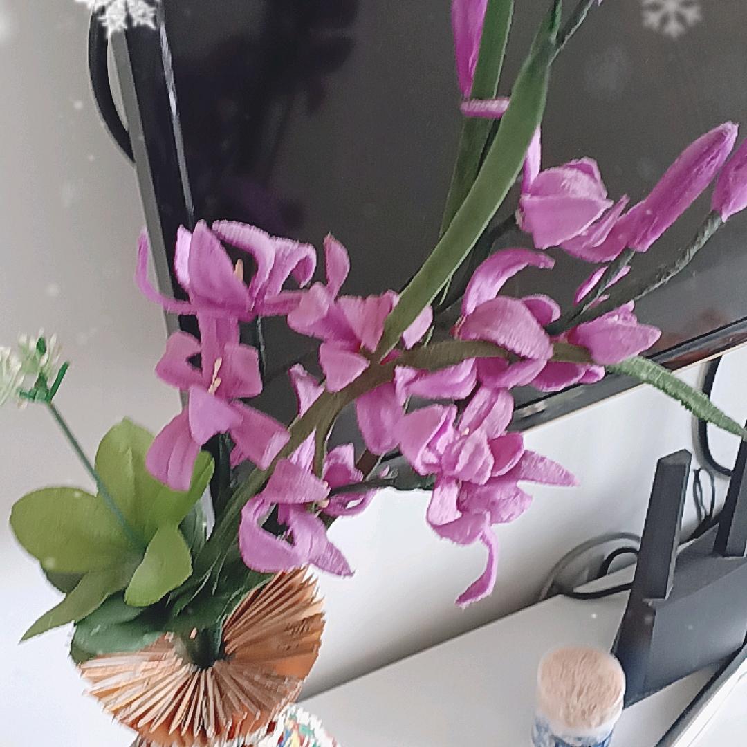 又见钭阳