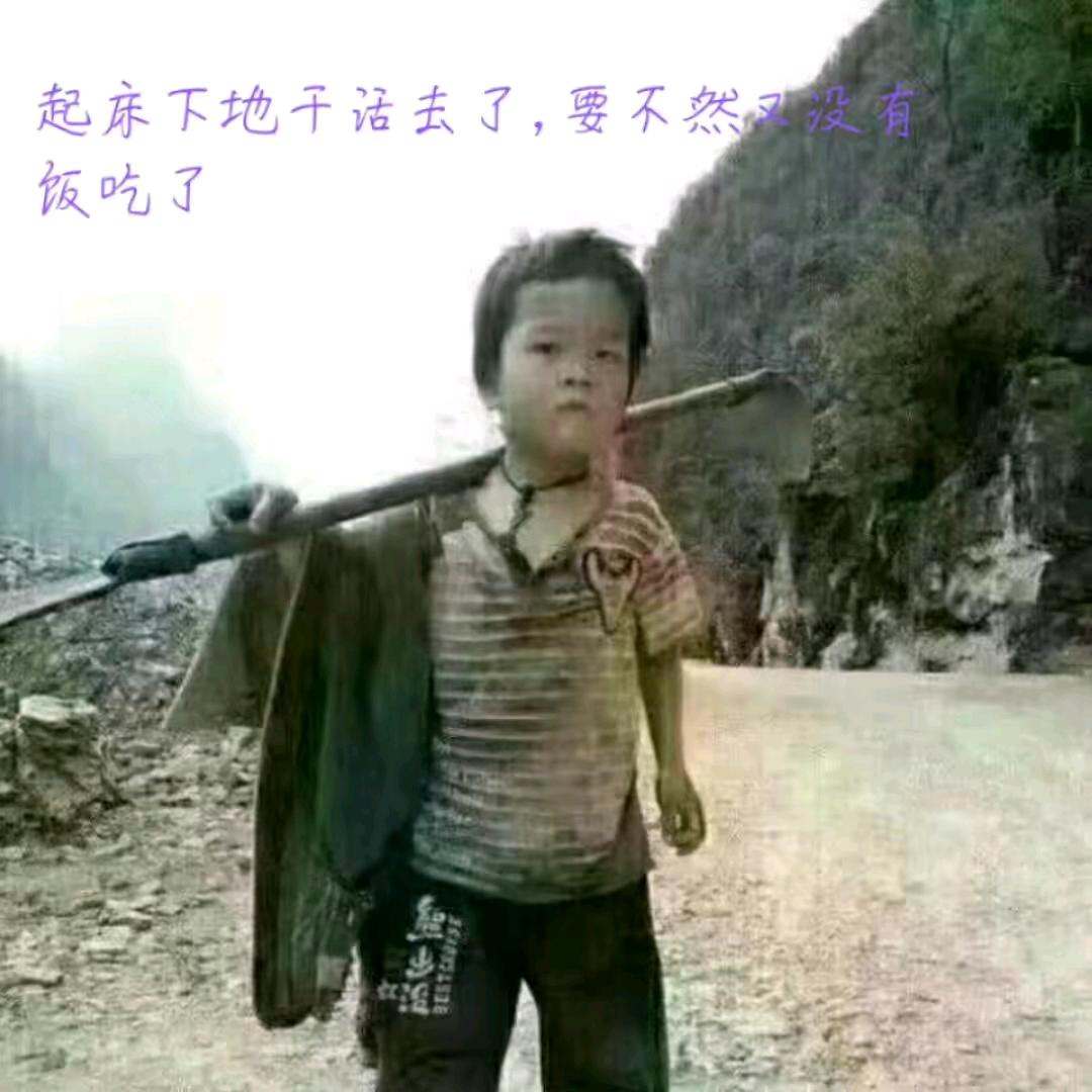 凤雷一一