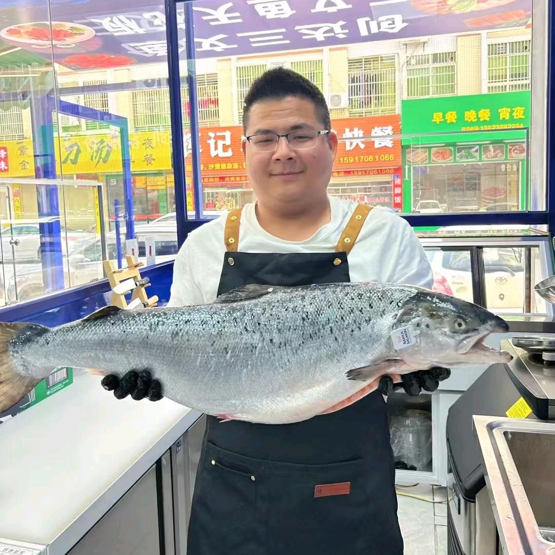 创达三文鱼