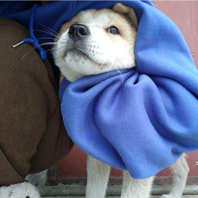 一觉醒来我无任何副作用的变成亿万富翁了的头像