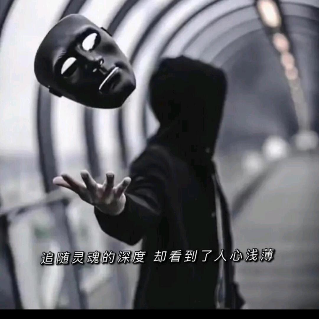 巷子裡嘚貓