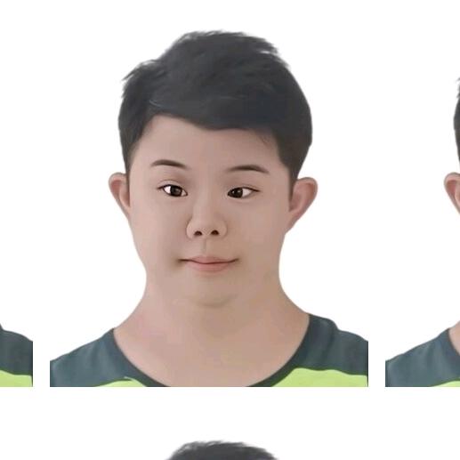 刘成汉