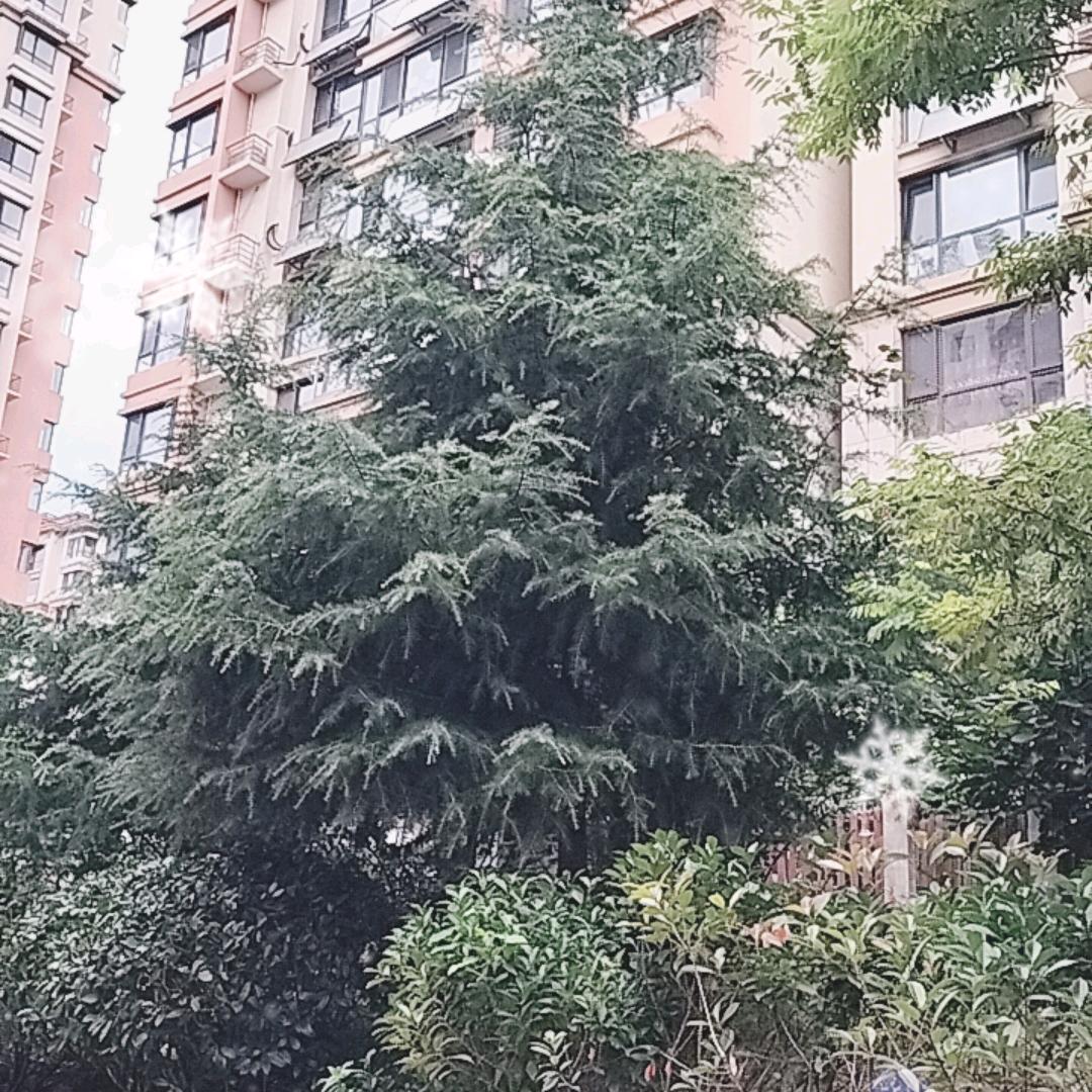 普锐斯领航钓具