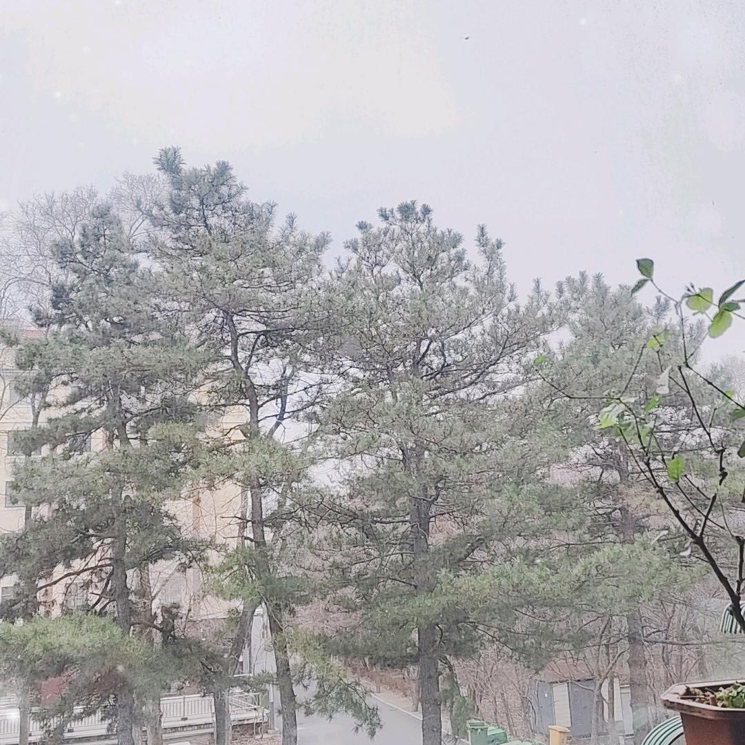 不着调(20:00-22:30)