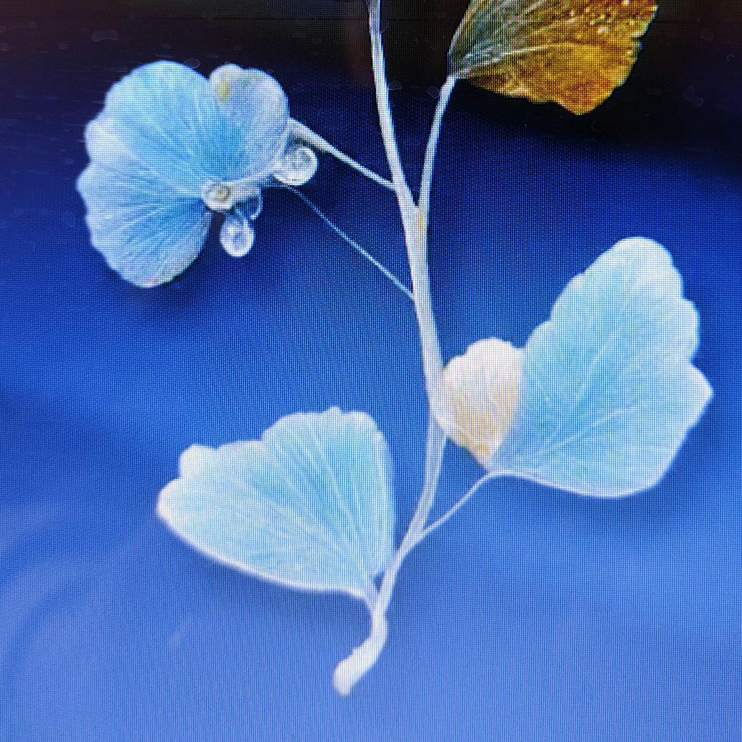 ☚虎*玥☛