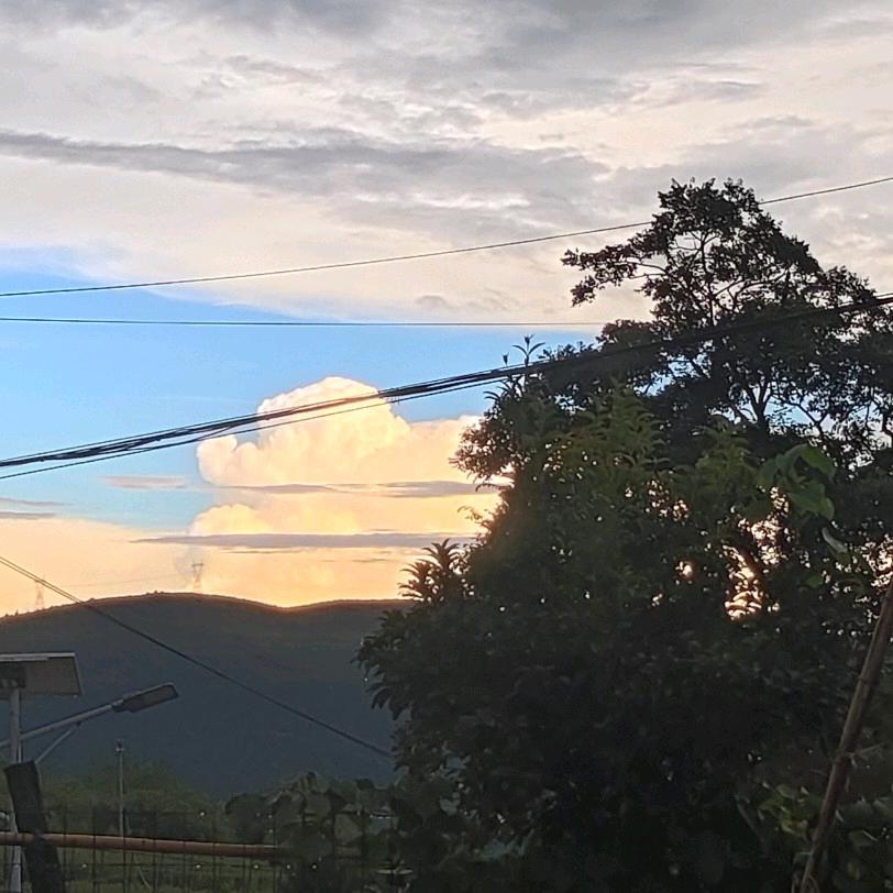 小熊困觉觉💤