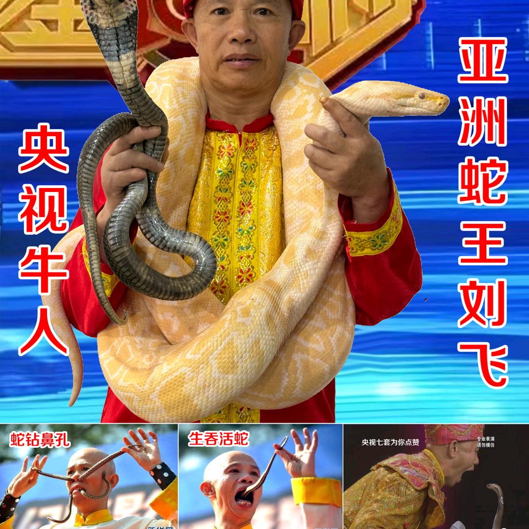 亚洲蛇王  刘飞