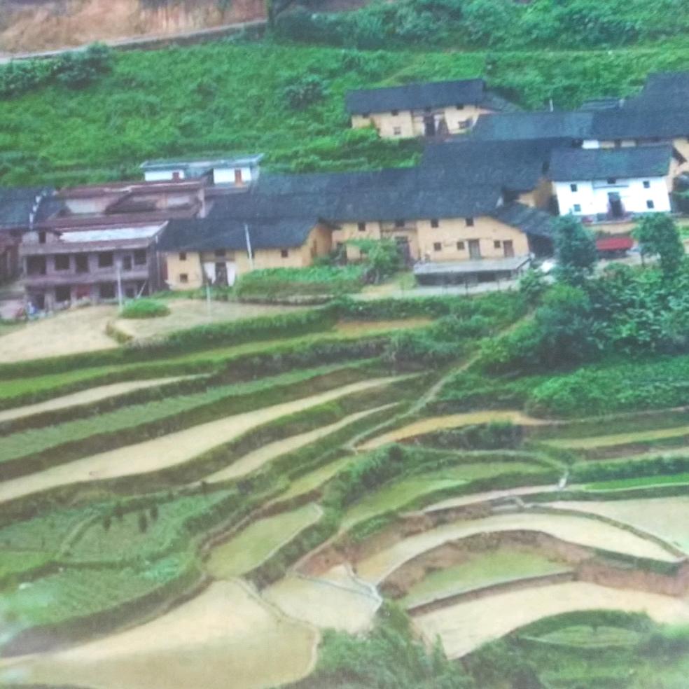 山清水秀一张三