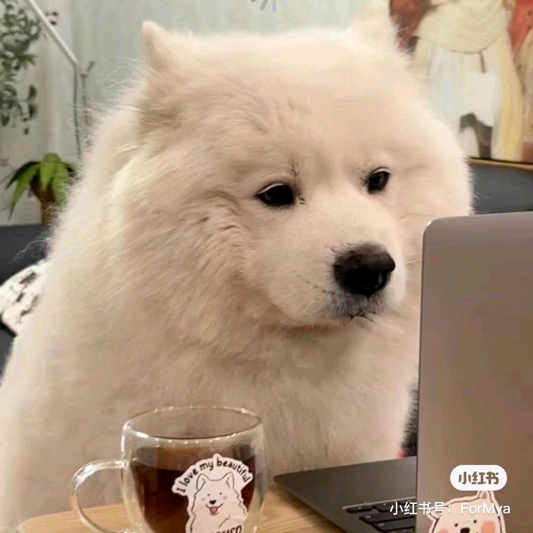 送外卖的范队长