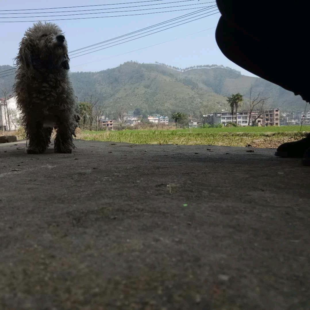 开心每一刻