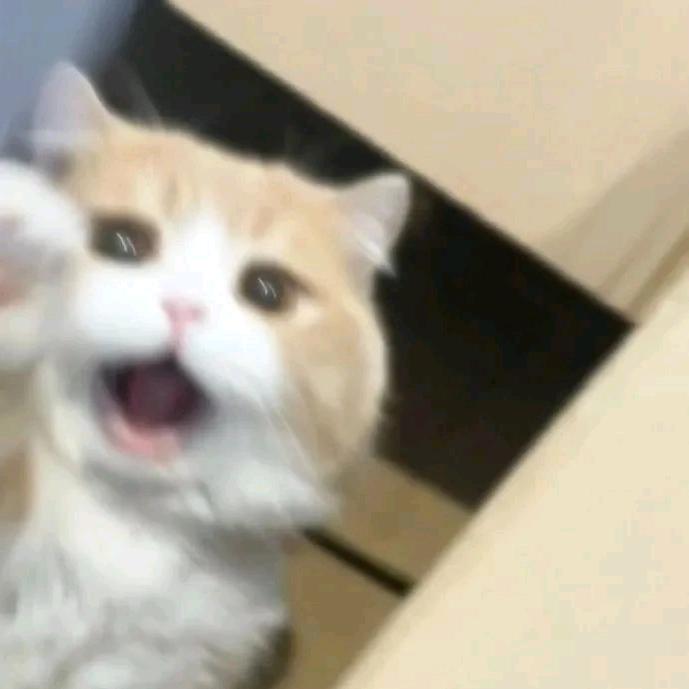 苑