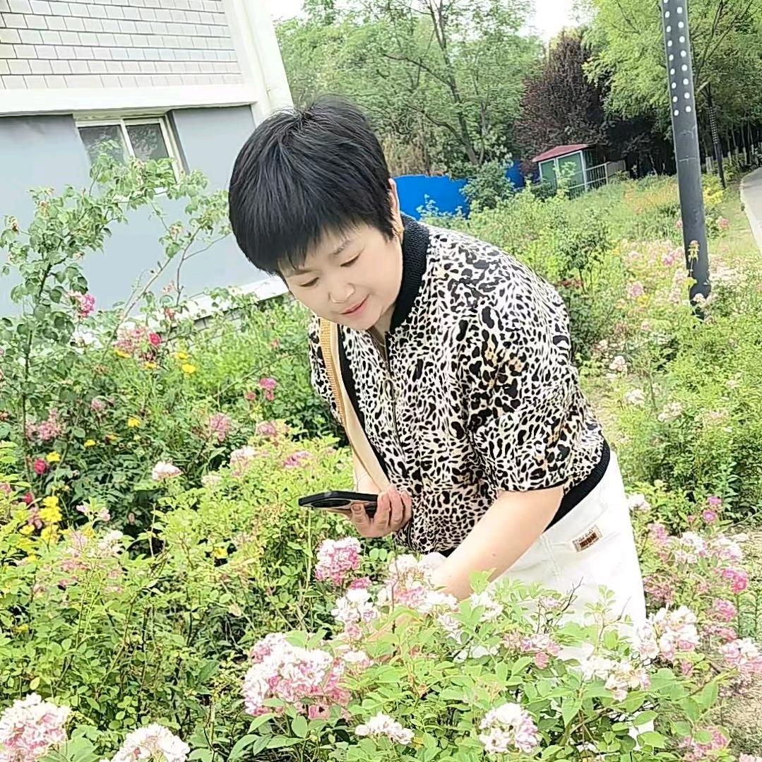彩霞